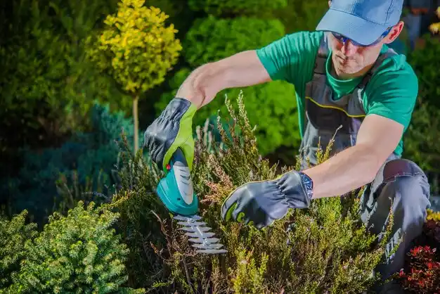 landscaping services Port Barre
